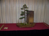 Professional bonsai exhibit MABS 2011 PIE